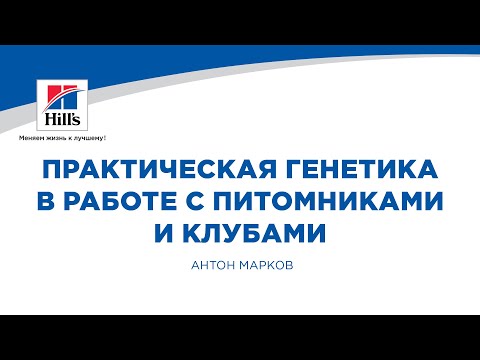 Видео: Вебинар на тему: «Практическая генетика в работе с питомниками и клубами». Лектор – Антон Марков