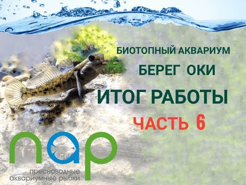 Видео: Итог работы. Берег Оки.