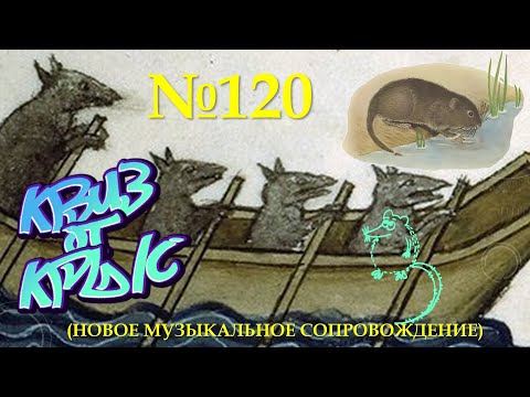 Видео: "КВИЗ от КРЫС" эпизод 120 (новое звуковое сопровождение)