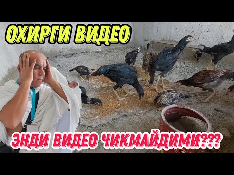 Видео: МАКСАД САРИ ХОНОДОНИДА СУНГИ ВИДЕО...(ОХУНОВ ТВ)