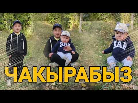 Видео: Лейлекте чон улак