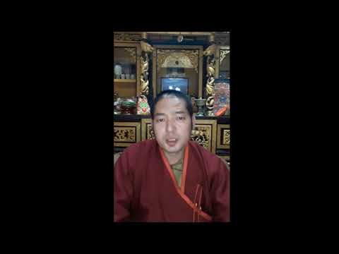 Видео: ҮЛГЭРИЙН ДАЛАЙ СУДРЫН УНШЛАГА-23а