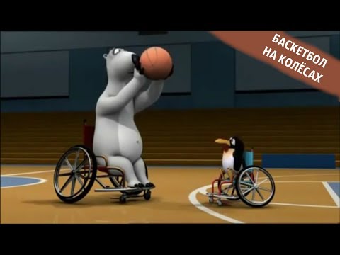 Видео: БЕРНАРД: Баскетбол на колёсах
