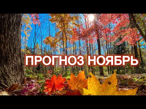 Видео: ПРОГНОЗ НОЯБРЯ: внеплановый переполох.