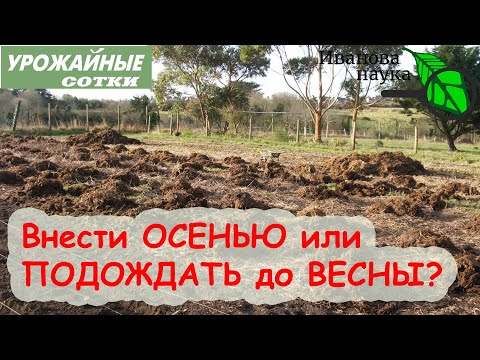 Видео: БЕЗ ВРЕДА ЗДОРОВЬЮ, ОГОРОДУ и КОШЕЛЬКУ! Можно ли вносить НАВОЗ осенью?