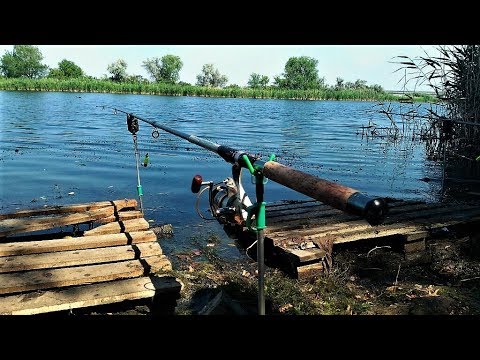 Видео: Рыбалка с ночёвкой на реке,результат, ВЕДРО РЫБЫ и хорошее впечатление