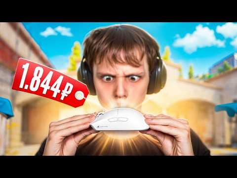 Видео: Купил ЛУЧШУЮ МЫШКУ за 1844 РУБЛЯ (CS2)