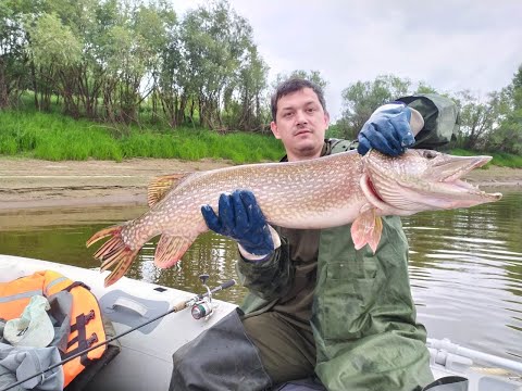 Видео: Рыбалка на реке Лозьва
