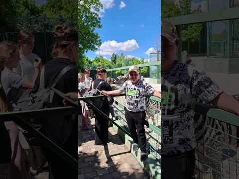 Видео: Парк Тайган. 18.05.25. Степа с классом.