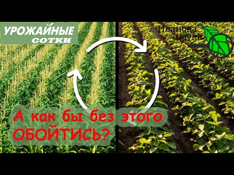 Видео: ВОТ ЭТО ПОМОЖЕТ ОБОЙТИСЬ БЕЗ СЕВООБОРОТА!