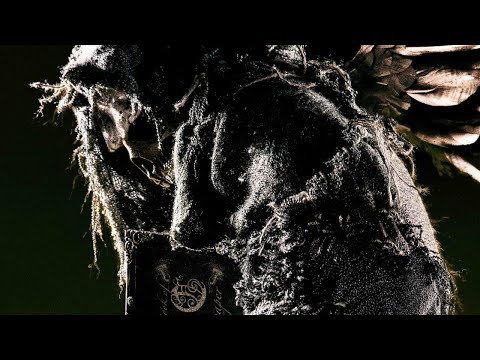 Видео: Кинологи. «Азбука смерти 2»