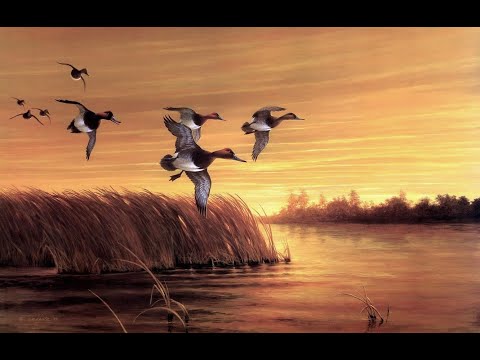 Видео: BULT - hunting simulator, вечерка.