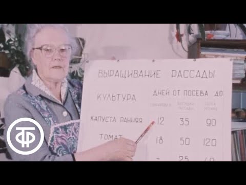 Видео: Наш сад. Секреты выращивания рассады капусты, томатов и огурцов в домашних условиях (1986)