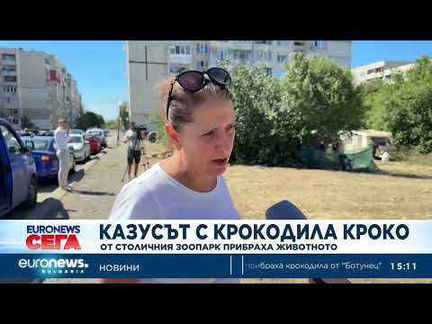Видео: От столичния зоопарк прибраха намерения в квартал „Ботунец“ крокодил