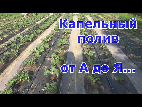 Видео: Капельный полив от А до Я.  Монтаж капельного полива на 200 метрах грядок за один день - реально.