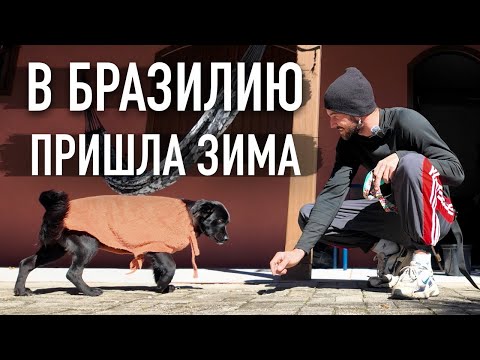 Видео: Мы уезжаем
