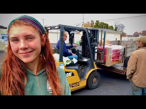 Видео: Мы получили первый заказ на высушенные в камере дрова в мешках!