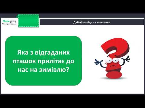 Видео: Як зимують птахи та звірі. Проєкт «Птахам на допомогу!»