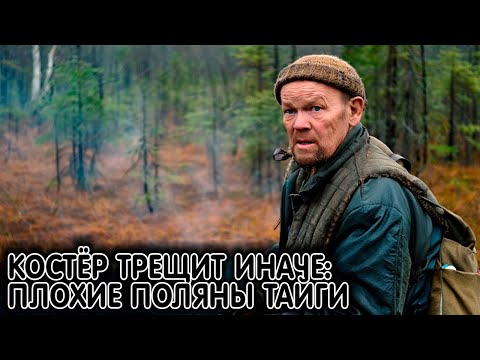 Видео: Здесь костёр трещит иначе. Плохие Поляны тайги