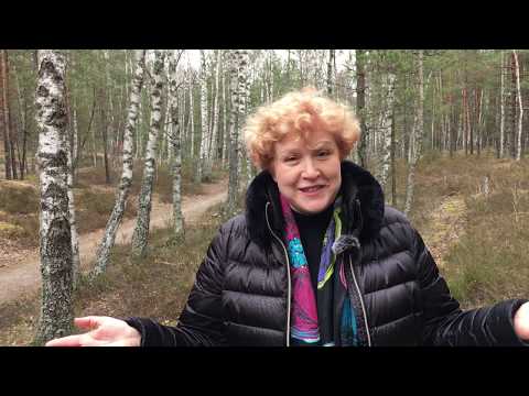 Видео: Не заболеть. Выздороветь. Жить.