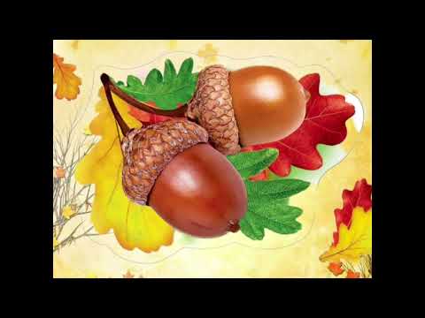 Видео: Осінній калейдоскоп