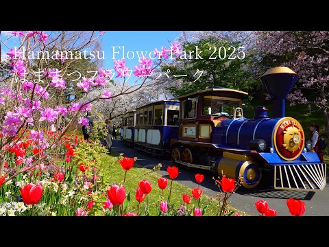 Видео: Парк цветов Хамамацу: самый красивый в мире сад цветущей сакуры и тюльпанов!