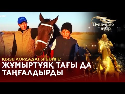 Видео: Қызылордадағы бәйге: Жұмыртұяқ тағы да таңғалдырды. «Дүлдүлдер дүбірі». Бәйге.