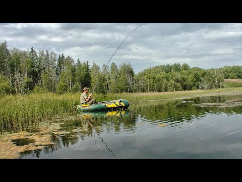 Видео: Рыбалка на озере в последние дни лета #353