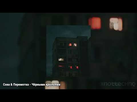 Видео: Сова & Перемотка - Чёрными крыльями (speedup/nightcore)