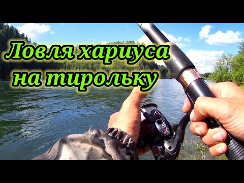 Видео: Рыбалка на реке Бия 👆 Ловля хариуса на тирольку.