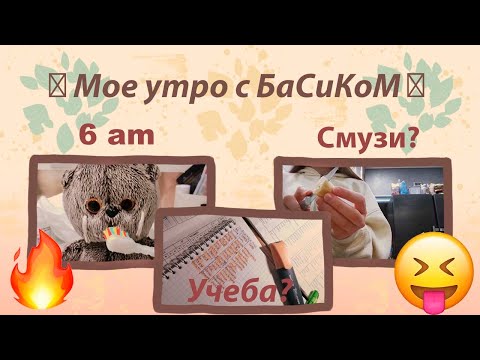 Видео: Мое утро с Басиком | Как хорошо провести утро?