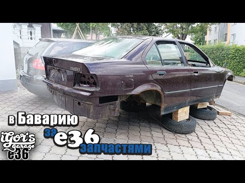 Видео: Е36 под разбор #e36