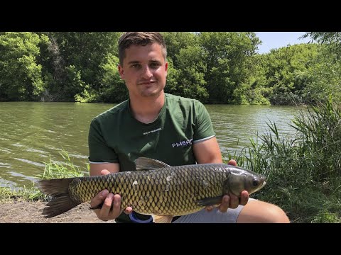 Видео: РЫБАЛКА НА ПРУДУ "КРУТОЙ ЛОГ" ГОТОВИМ, ЛОВИМ, ОТДЫХАЕМ (Воронежская область 2022)