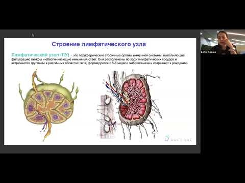 Видео: Лимфаденопатии: дифдиагноз с позиции гематолога и инфекциониста. Карина Белик и Дарья Авдошина
