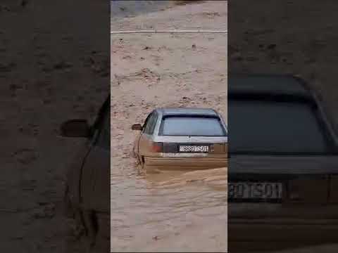 Видео: Сел калон дар шахри Турсунзода Долонсой мошина бурсод