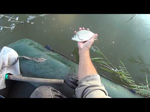 Видео: УЕЛГИ ловля КАРАСЯ в жару (конец августа)