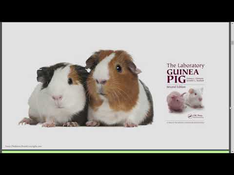 Видео: SAFe Energy — о людях и SAFe-процессах / Анна Обухова (ScrumTrek)