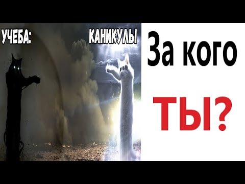 Видео: Лютые приколы. КАНИКУЛЫ ИЛИ УЧЕБА? Самое смешное видео! – ПОПРОБУЙ НЕ ЗАСМЕЯТЬСЯ - Domi Show