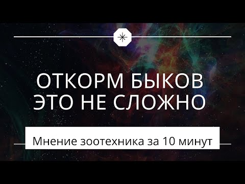 Видео: Откорм быков за 10 минут. Обзор от зоотехника. Александр Гальцов