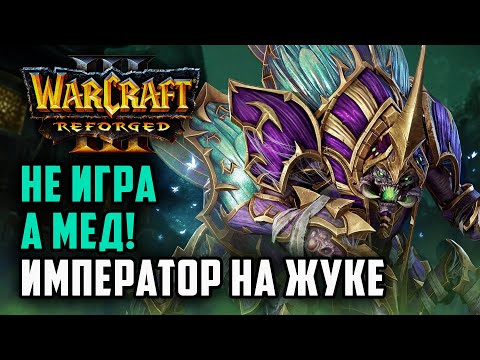 Видео: НЕ ИГРА, А МЕД! ИМПЕРАТОРА НА ЖУКЕ: Happy (Ud) vs Fortitude (Hum) Warcraft 3 Reforged