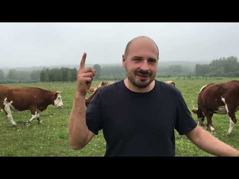 Видео: Обзор хозяйства 2023