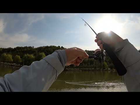 Видео: Турнир Autumn Trout Cup 2025 Trout Master 06.09.2025 по ловле форели на спиннинг