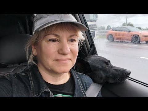 Видео: Казацкая Зарядка с Анной и Грифом