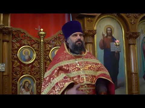 Видео: Проповедь иерея Максима Пчелы