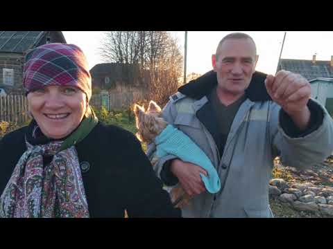 Видео: Подготовка ко дню рождения .