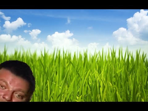 Видео: В траве сидел братишка