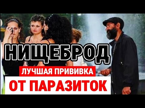 Видео: НИЩЕБРОД - лучшая прививка от паразиток! [Шкуры ЧСВ]