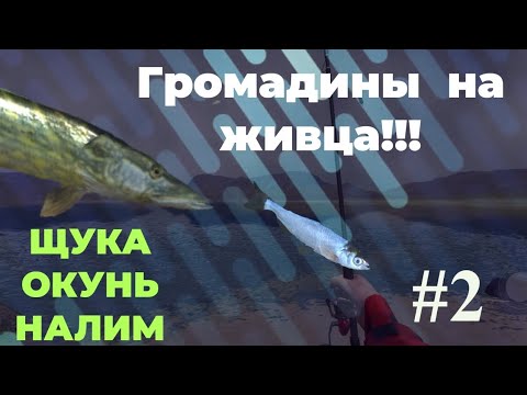 Видео: За ЩУКОЙ в Париж!!! | Ultimate Fishing Simulator | Ловля на ЖИВЦА
