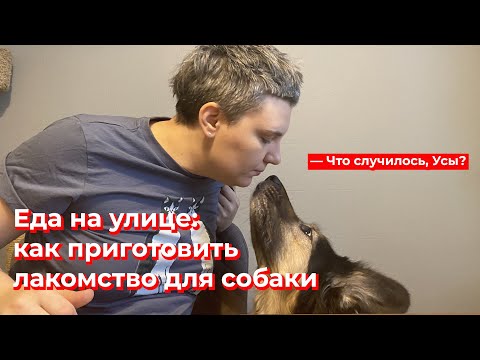 Видео: Что случилось, Усы? Еда на прогулке: как приготовить лакомство собаке