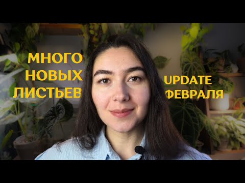 Видео: Мои РАСТЕНИЯ ЗИМОЙ | ЦВЕТОЧНЫЕ обновления и МИНИ-ОБЗОР растений